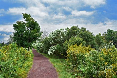 A Quiet Peaceful Place Nj Meadowlands Photograph By Regina Geoghan