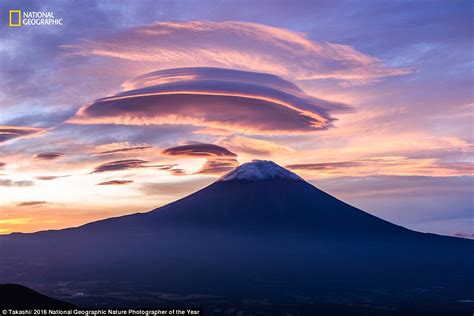 Stunning Entries For National Geographic Nature Photographer Of The