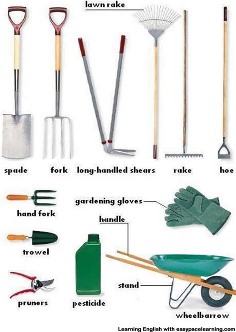 Gardening equipment vocabulary with pictures learning English gambar png