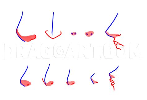 How To Draw A Nose Without Shading Drawing The Nose Involves