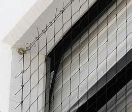 Check spelling or type a new query. Bird Netting Installation, Putting up Bird netting