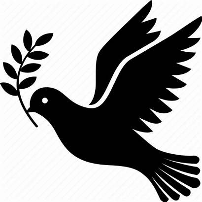 Dove Branch Olive Peace Icon Icons Bird