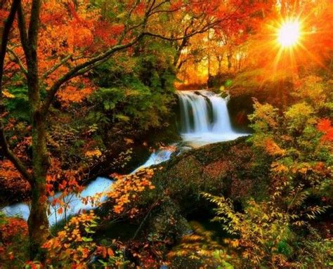Beautiful Fall Sunrise Autumn Waterfall Photography