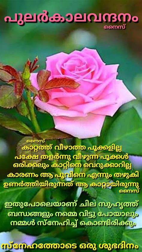 Bible verses on marriage and love malayalam audio message prayer for life partner, prayer, life partner god's promises for. Pin by Eron on Good morning ( Malayalam ) | Good morning ...