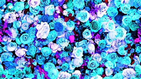 Fondos de pantalla ordenador flores azul Flores fondos de ...