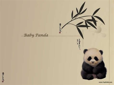 Pandapaper Pandas Wallpaper 33427454 Fanpop