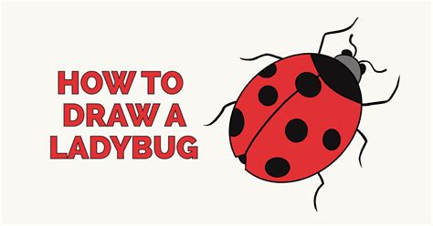 Maybe you would like to learn more about one of these? How to Draw a Ladybug - Really Easy Drawing Tutorial