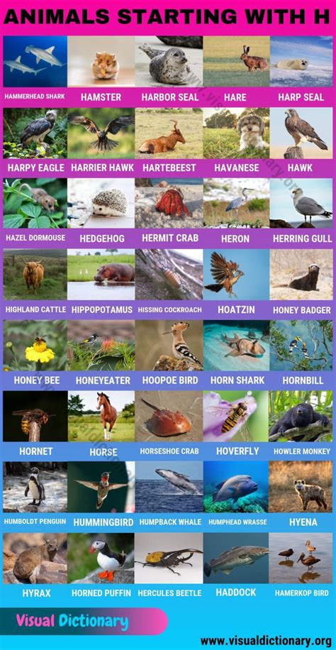British surnames beginning with 'h' drill down further to surnames beginning with: Animals that Start with H: 40 Intriguing Animals Starting ...