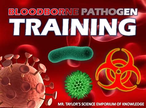 Bloodborne Pathogen Training Powerpoint Presentation Teaching Resources