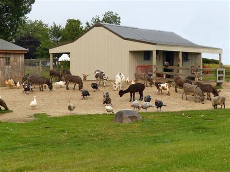 Homestead Animal Farm Attraction Farms W320 N9127 Hwy 83 Hartland