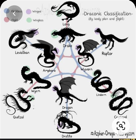 A Dragon Classification Chart Mythicalcreatures
