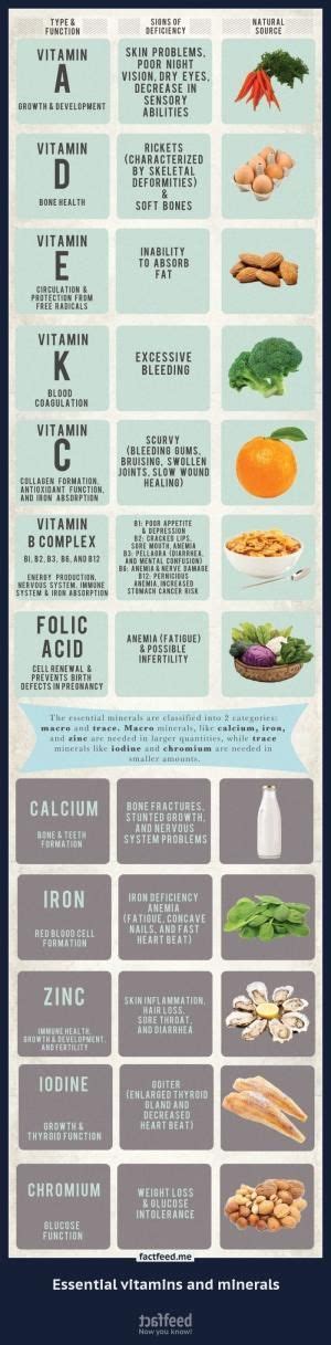 Todays Infographic Essential Vitamins And Minerals Factfeed By