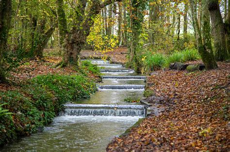 Cornwalls Best Woodland Walks Kilden Mor