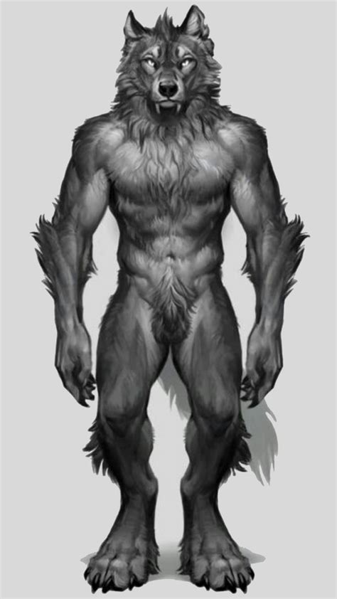 The Meaning And Symbolism Of The Word Werewolf