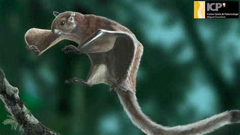 Oldest Fossil Of A Flying Squirrel Sheds New Light On Its Evolutionary