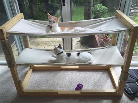 11 Diy Cat Bunk Bed Plans You Can Make Today With Pictures Pet Keen