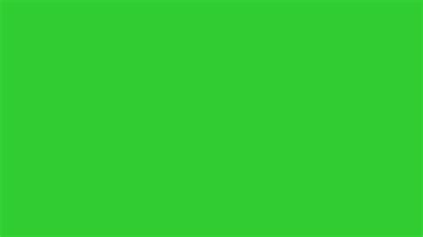 Lime Green Backgrounds 55 Pictures