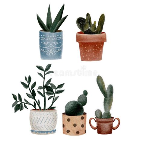 Watercolor Illustration Set Of Cactus In Flower Pots Watercolor Cactus
