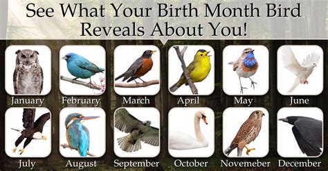 Click To See What Your Birth Month Bird Reveals About Your Personality