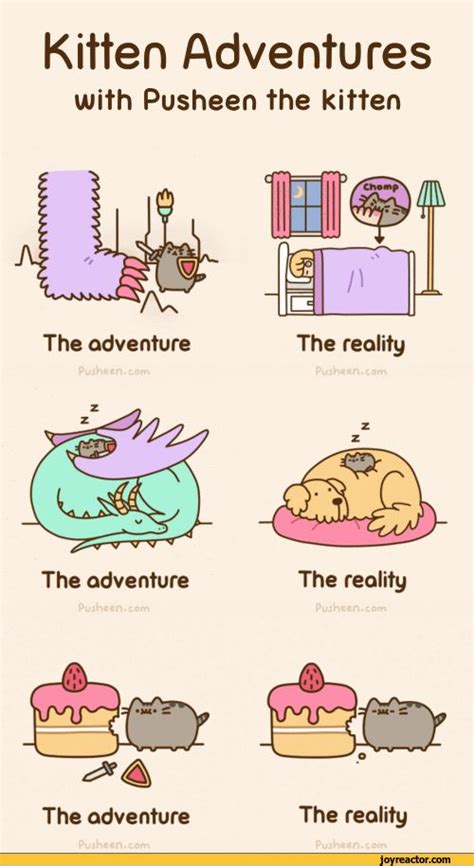 177 Best Pusheen Stormy The Kitten And Mango Images On Pinterest