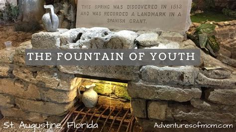 Young Again Rediscovering The Fountain Of Youth Adventures Of Mom