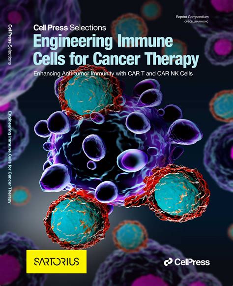 Cell Press Selections Engineering Immune Cells For Cancer Therapy