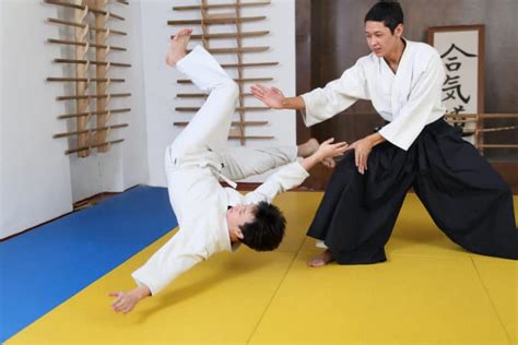An Original List Of The Belts And Ranks Levels In Aikido Activif