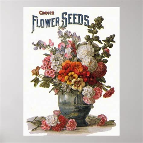 Vintage Assorted Annuals Seed Packet Poster