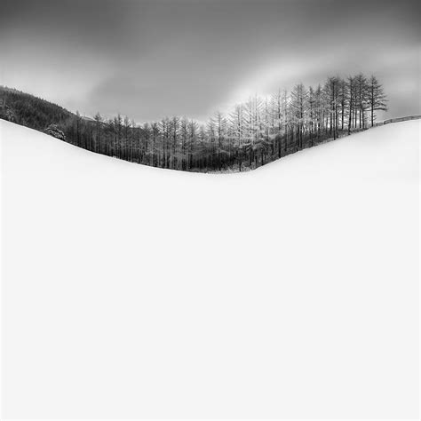 Vassilis Tangoulis Minimal Landscapes In Black And White