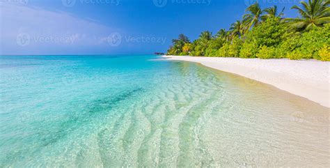 Sunny Exotic Tropical Beach Landscape Background Wallpaper Design