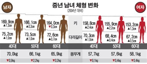 [그래픽뉴스]중장년층, 뱃살 줄고 키는 커졌다 - 이투데이