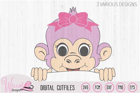 Peekaboo Girl Monkey Svg Baby Design