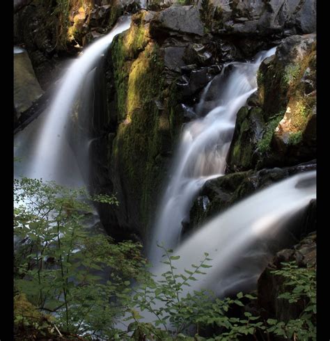 Olympic National Park One Of The Wildest Places Left Usa