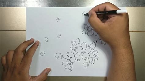 How To Draw Cherry Blossom Step By Step Youtube