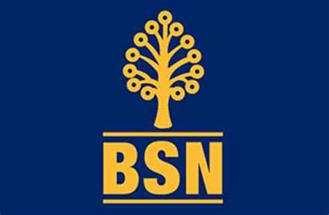 Come and be part of our team. BSN Executive 1 Personal loan | Pinjaman Peribadi Malaysia
