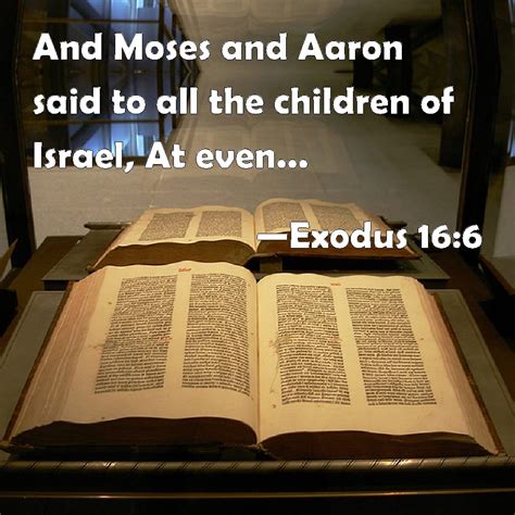 Exodus 166 And Moses And Aaron Said To All The Children Of Israel At