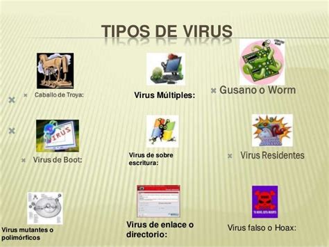 5 Tipos De Virus Informaticos Arbol