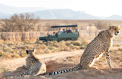 Abenteuerliche safaris in südafrika mit flug, hotel & erlebnissen. Südafrika - Krüger Nationalpark, eSwatini und Lesotho l ...