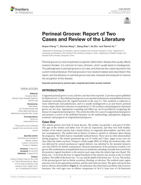 Pdf Perineal Groove Report Of Two Cases And Review Of The Literature