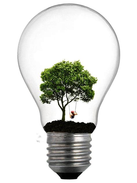 Tree Lightbulb Pawnile New Subject Matter Pinterest