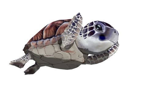 Sea Turtle V1 Free 3D Model Obj Stl Free3D