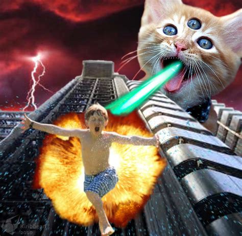 Laser Cat Attacks By Kiribbean On Deviantart