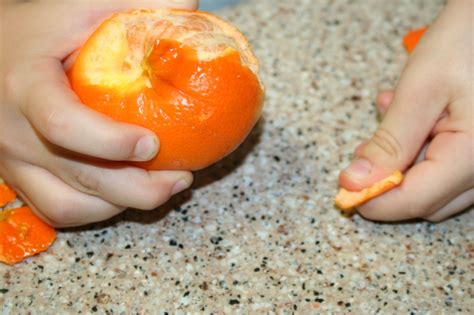 Orange Surprise Sink Or Float Peeled Vs Unpeeled Mommy Loves