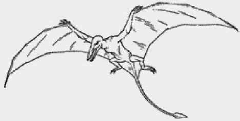 Download Pterodactyl Colouring Pages - Part 2