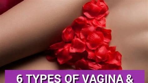 Types Of Vagina How You Can Enjoy Them Daftsex Hd