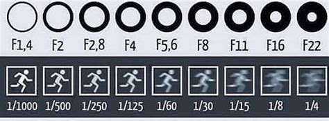 What Is Iso In Photography Camera Basics Explained