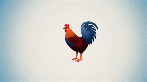Cock Background Hd Wallpapers 29049 Baltana