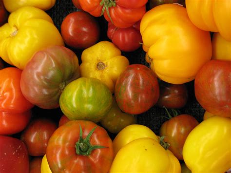 The Amazing World Of Heirloom Tomatoes Plants And Garden Blog