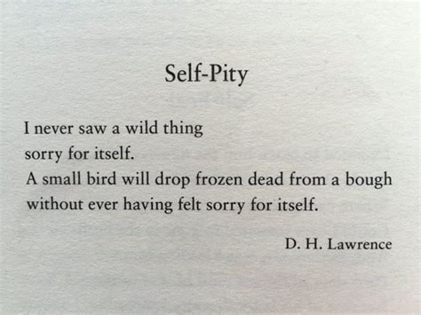 Self Pity By English Writer And Poet Dh Lawrence 1885 1930