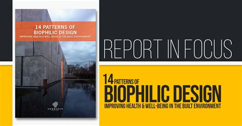 Report In Focus 14 Patterns Of Biophilic Design Terrapin Bright
